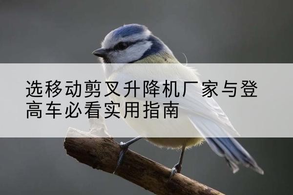 宾县电动升降机厂家-选移动剪叉升降机厂家与登高车必看实用指南