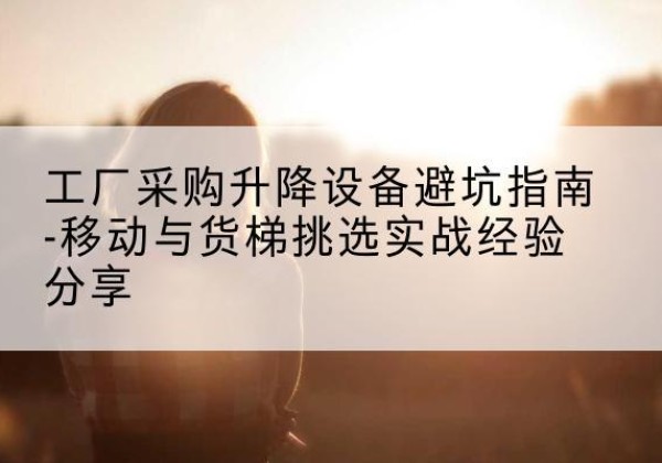 宾县移动式升降机怎么选-工厂采购升降设备避坑指南-移动与货梯挑选实战经验分享