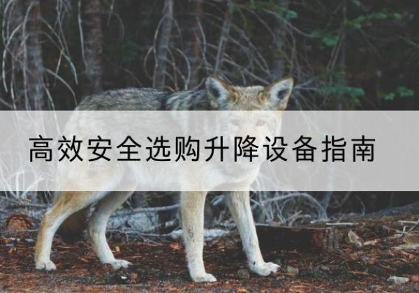 宾县升降货梯厂家推荐-*安全选购升降设备指南