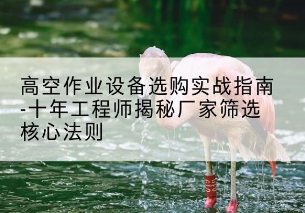 宾县剪叉式升降机厂家-高空作业设备选购实战指南-十年工程师揭秘厂家筛选核心法则